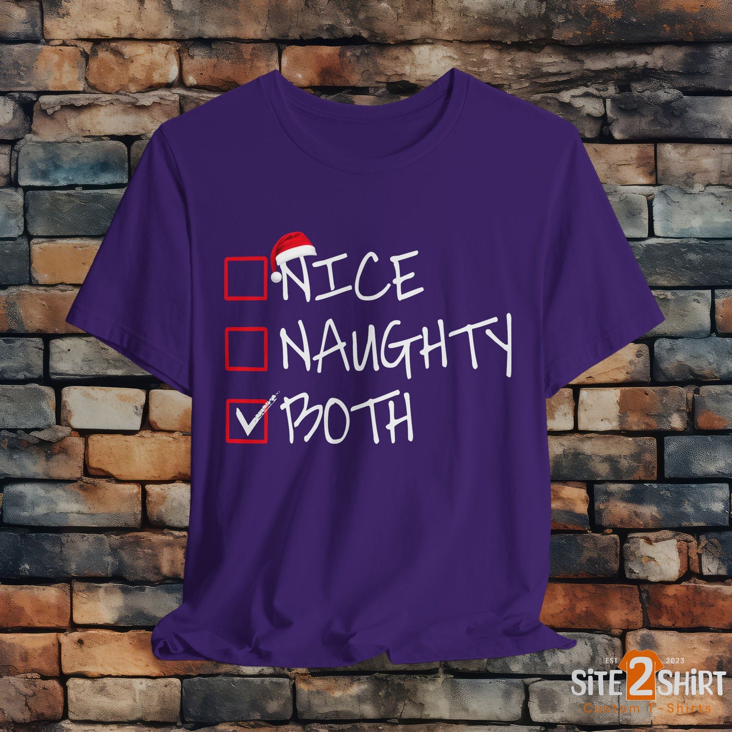 Naughty or Nice, Or Both Christmas T Shirt, Fun Holiday Party Shirt, Christmas Checklist Shirt