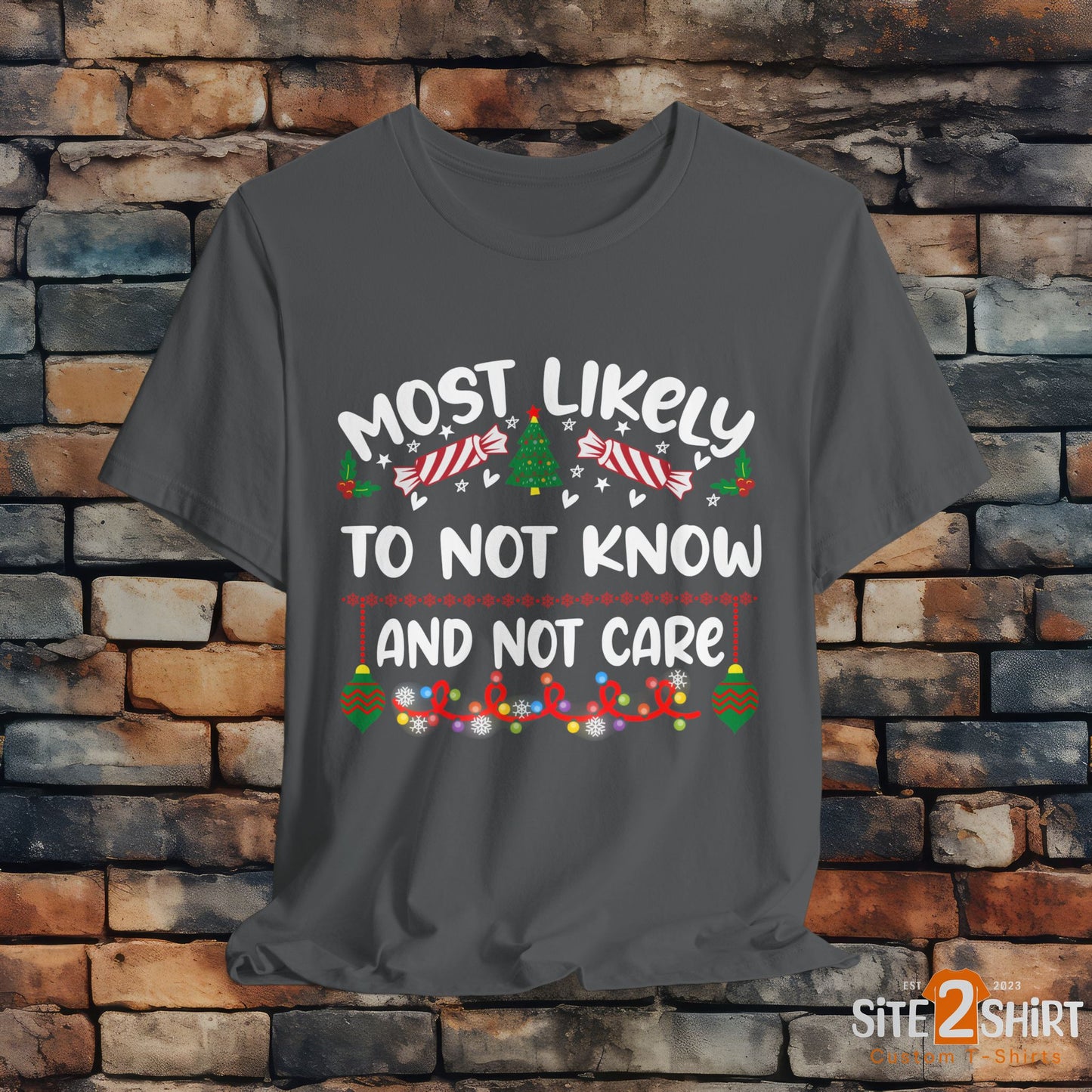 Most Likely to Not Know and Not Care Tee Shirt, Funny Christmas Shirt, Holiday Party Apparel, Humorous Christmas T Shirts